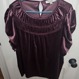LOFT Women's Rich Burgundy Velvet Blouse